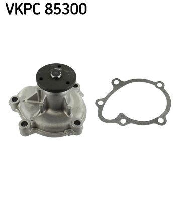 SKF Pumpa vode